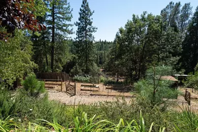 20455 Ponderosa Way, Fiddletown, CA 95629 - Photo 35