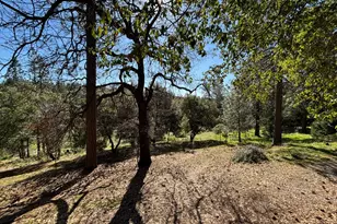 20455 Ponderosa Way, Fiddletown, CA 95629 - Photo 47