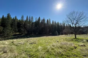 20455 Ponderosa Way, Fiddletown, CA 95629 - Photo 51