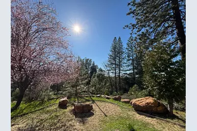 20455 Ponderosa Way, Fiddletown, CA 95629 - Photo 49