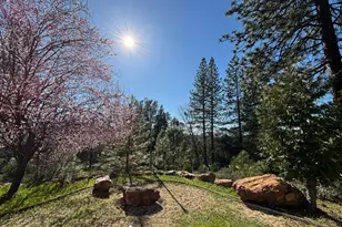 20455 Ponderosa Way, Fiddletown, CA 95629 - Photo 49