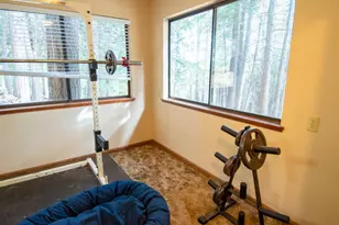 1231 Garnet Ct, Pollock Pines, CA 95726 - Photo 73