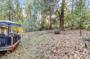 4610 Tracy Ln, Garden Valley, CA 95633 - Photo 59