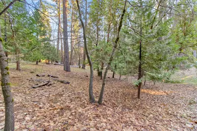 4610 Tracy Lane, Garden Valley, CA 95633 - Photo 49