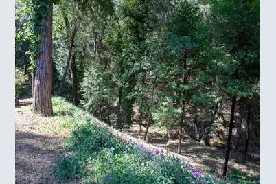 Irishtown Road #40, Pine Grove, CA 95665 - Photo 37