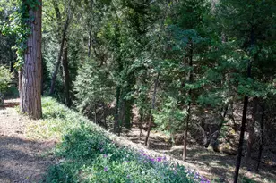 Irishtown Rd, Pine Grove, CA 95665 - Photo 37