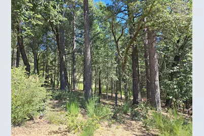 25840 Rollins Lake Road, Colfax, CA 95713 - Photo 17