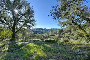 4656 Cosumnes View Trail, Placerville, CA 95667 - Photo 45