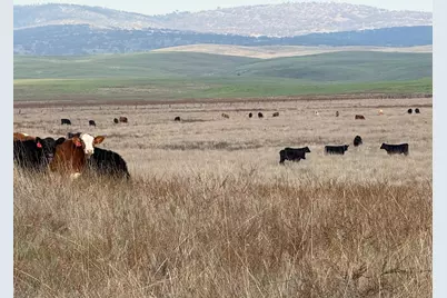 0 Dunton S Of Road, Oakdale, CA 95361 - Photo 5