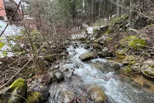 208 Main St, Downieville, CA 95936 - Photo 19