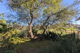 3436 Davis Dr, Burson, CA 95225 - Photo 11