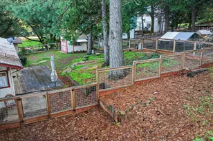 23568 Robin Rd, Pioneer, CA 95666 - Photo 37