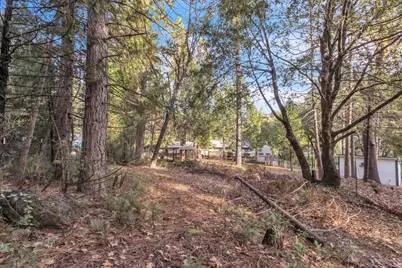 23568 Robin Road, Pioneer, CA 95666 - Photo 51