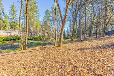 10290 Braemar Way, Grass Valley, CA 95949 - Photo 29