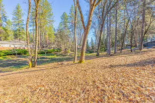 10290 Braemar Way, Grass Valley, CA 95949 - Photo 29