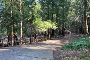 4610 Wandering Way, Camino, CA 95709 - Photo 23