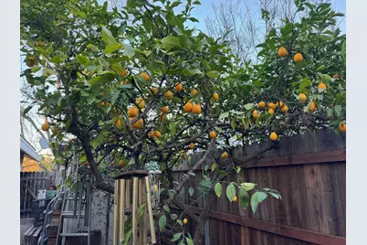 11110 Concord River Court, Rancho Cordova, CA 95670 - Photo 25