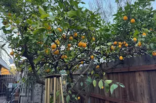 11110 Concord River Ct, Rancho Cordova, CA 95670 - Photo 25