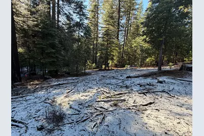 27627 Ashland Drive, Pioneer, CA 95666 - Photo 5