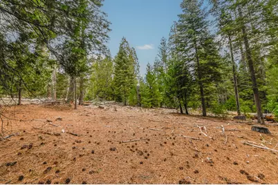 27627 Ashland Drive, Pioneer, CA 95666 - Photo 1