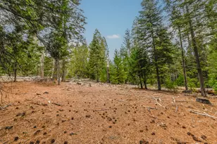 27627 Ashland Dr, Pioneer, CA 95666 - Photo 1