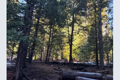 27627 Ashland Drive, Pioneer, CA 95666 - Photo 9