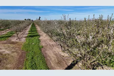 22451 Hwy 120 Street, Escalon, CA 95320 - Photo 7