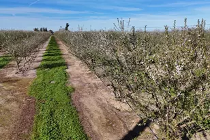 22451 Hwy 120 St, Escalon, CA 95320 - Photo 7