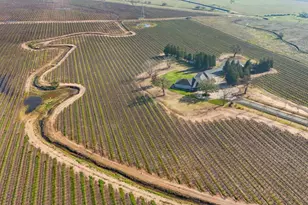 16025 E Harney Ln, Lodi, CA 95240 - Photo 9