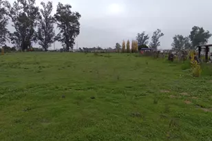 14923 Westside Blvd, Livingston, CA 95334 - Photo 5