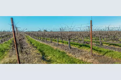 20075 E Kettleman Lane, Lodi, CA 95240 - Photo 17