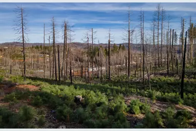 5087 Woodridge Drive, Grizzly Flats, CA 95636 - Photo 19