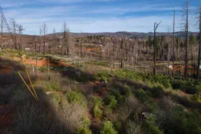 5087 Woodridge Drive, Grizzly Flats, CA 95636 - Photo 7