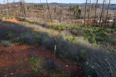 5087 Woodridge Drive, Grizzly Flats, CA 95636 - Photo 3