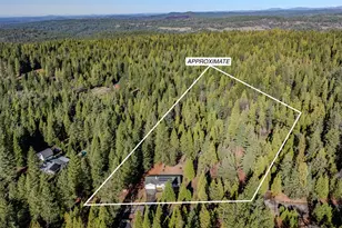 23781 Golden Ridge Dr, Volcano, CA 95689 - Photo 45