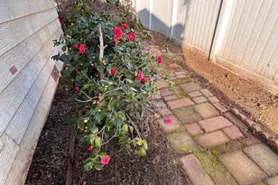 Folsom Blvd, Sacramento, CA 95826 - Photo 37