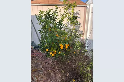 Folsom Boulevard #246, Sacramento, CA 95826 - Photo 39