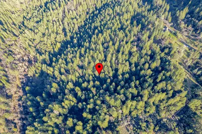 3500 Amapola Court, Pollock Pines, CA 95726 - Photo 29