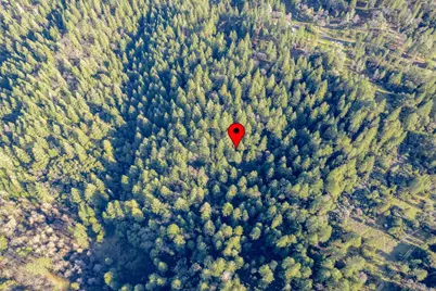 3500 Amapola Court, Pollock Pines, CA 95726 - Photo 27