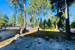 24508 State Hwy 108, Mi Wuk Village, CA 95346 - Photo 11