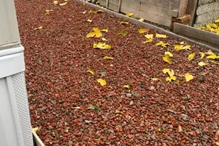 Whispering Palms Dr, Sacramento, CA 95828 - Photo 19