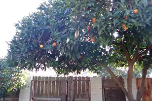 1306 Joni Ave, Modesto, CA 95350 - Photo 17