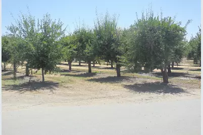 2200 Encinal Road, Live Oak, CA 95953 - Photo 3