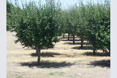 2200 Encinal Road, Live Oak, CA 95953 - Photo 9