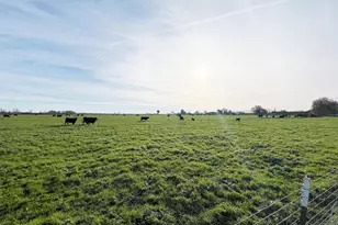 15731 Andrus Island Rd, Isleton, CA 95641 - Photo 37