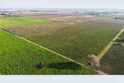 15910 N Locust Tree Road, Lodi, CA 95240 - Photo 1