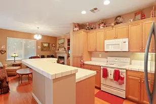 2394 Tea Rose St, Turlock, CA 95382 - Photo 11