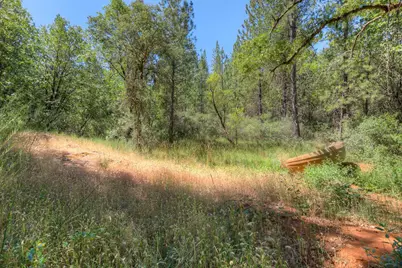 12896 Rices Crossing Road, Oregon House, CA 95962 - Photo 65