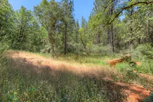 12896 Rices Crossing Rd, Oregon House, CA 95962 - Photo 65