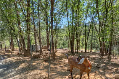 12896 Rices Crossing Road, Oregon House, CA 95962 - Photo 57